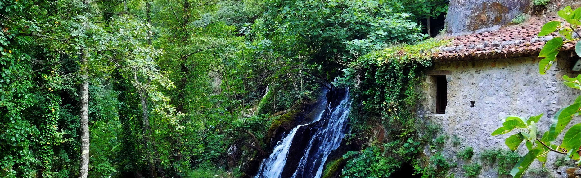 Tour in Pisciotta - Foto 1