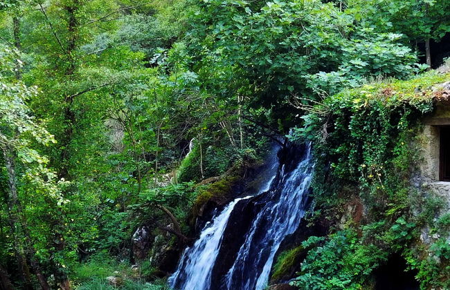 Tour in Pisciotta - Foto 1