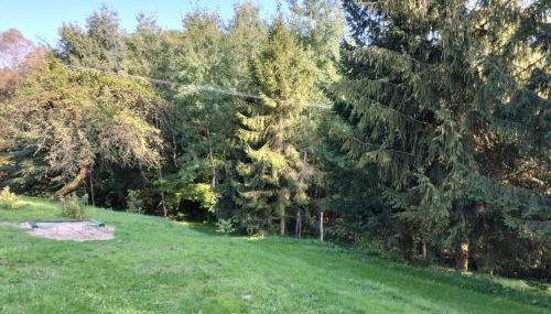 Zielony Zakątek - Foto 5, Garden