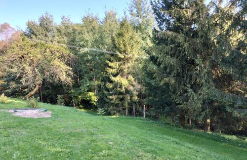 Zielony Zakątek - Photo 5