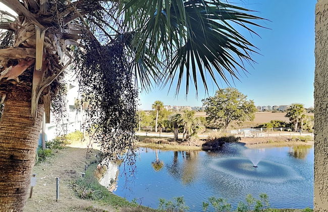 Hilton Head Resort - Foto 18