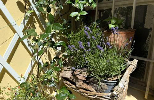 La Casa di Ringhiera - silenzioso appartamento di charme con balcone nel quadrilatero romano - Foto 31