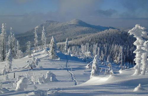 Ferienwohnung Osser Woid - Foto 27