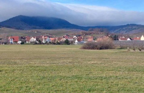 Gîte Centre Alsace - Foto 9