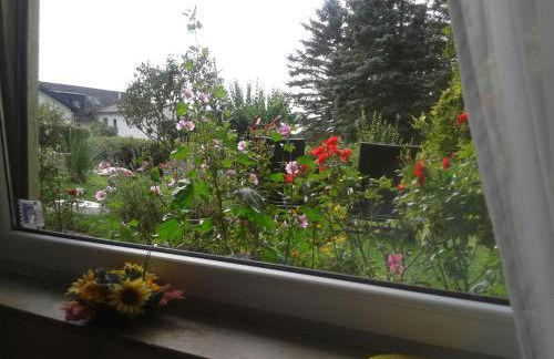 FeWo Sonnenblume mit sauna - Photo 23