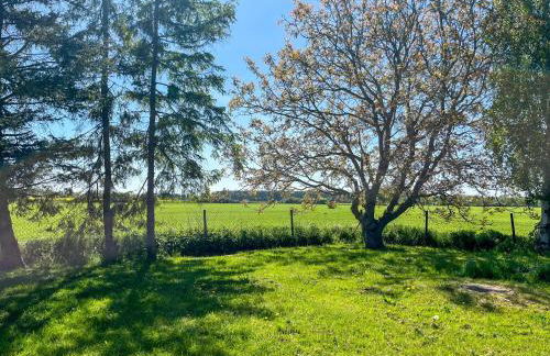 Ferienwohnung Wohlfühl-Anker - Foto 15