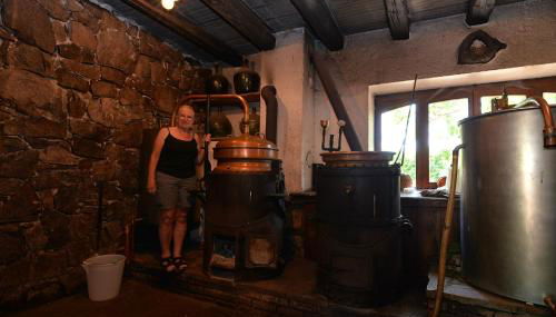 S'Harzala Vert bis - Foto 2