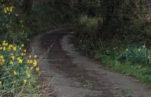 Okewoon Farm - Foto 33