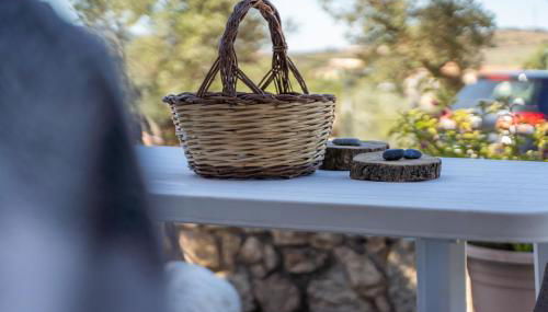 Statzu Butzu - Foto 4