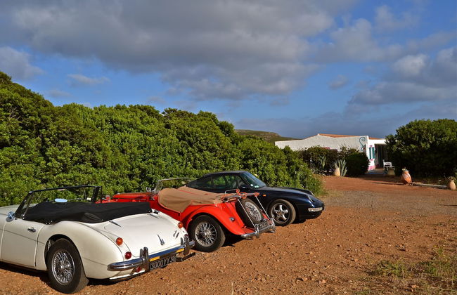 Poecylia Resort - Photo 23