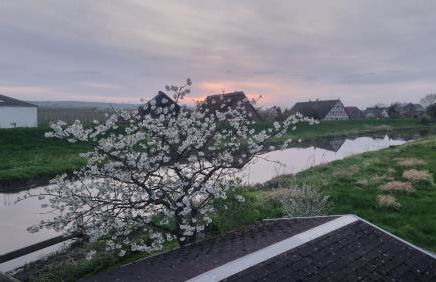 Lühe Loft - direkt am Wasser im Alten Land - Photo 1
