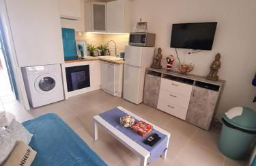 appartement vue mer,accès direct plage,fibre,clim,parking public gratuit - Foto 5