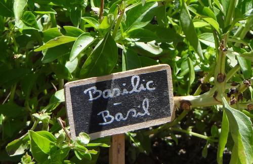 Gîte et maison de vacances Campagne Valérie - Foto 39