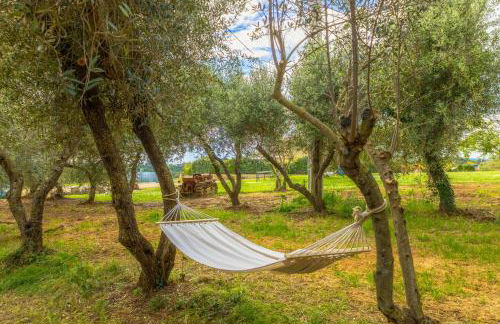 Agriturismo Pascianella Appartamento bel tramonto - Photo 7