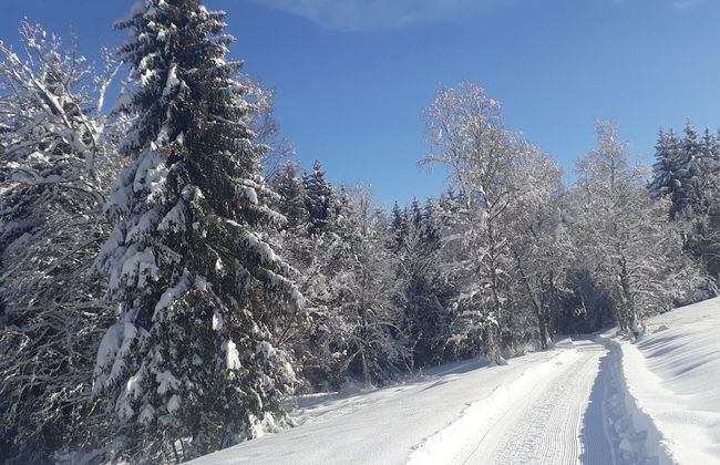 Apartment for 2 Adults & 2 Children near Ski Resort in Black Forest - Foto 29