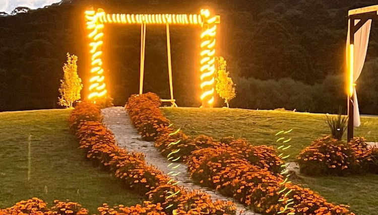 flor da serra cabanas charme e altitude - Foto 1, Imagem principal