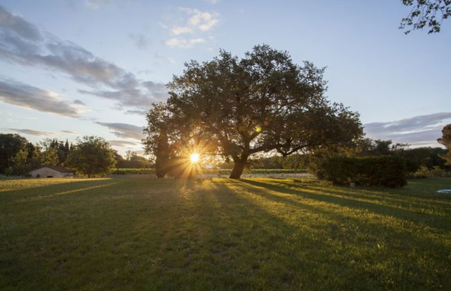 Chateau de Villeclare - Foto 40
