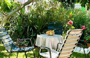 Apartments Dugonjić - Foto 5