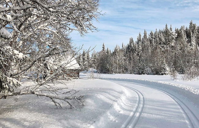 4 Person Holiday Home in Hemsedal - Foto 27