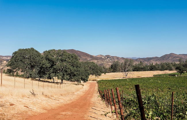 Huttopia Wine Country - Foto 28