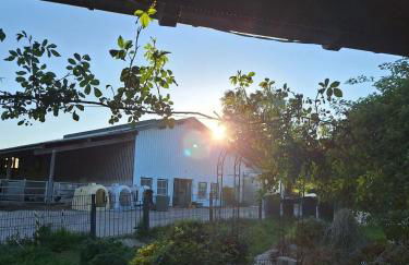 Kleine einzigartige Ferienwohnung auf dem Bauernhof, direkt in der Natur mit Blick auf Schloss Braunfels - Foto 49