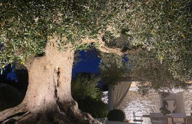 Borgo Fantese - Foto 16