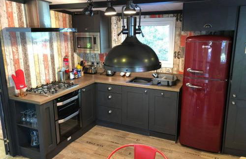 Sandy Balls Holiday Park Pet Friendly Lodge - Photo 3