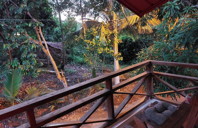 Family Apartment - Apartment 5 in Villa Coconut - Foto 24