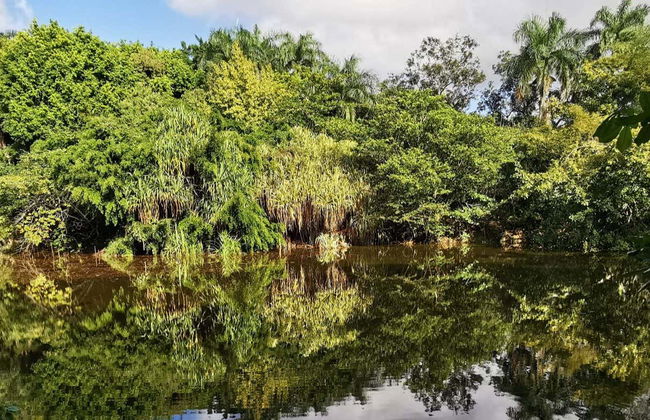 Puerto Plata & Taino Valley Tour - Photo 1