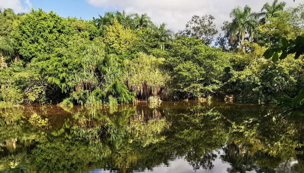 Puerto Plata & Taino Valley Tour - Photo 1, Puerto Plata & Taino Valley Tour