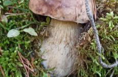 El Paller Mas Vidalou - Foto 15