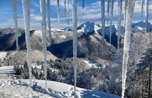 Le petit Nid Rouge - Foto 31