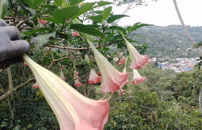 Captivating 4-bed Chalet Las Casitas en el Aire - Foto 13