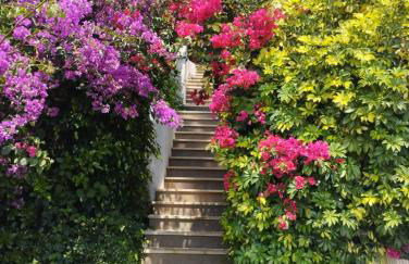 Condesa del Mar apartamentos adults only - Foto 41