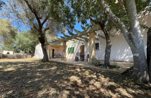 Holiday Home Can Soler by Interhome - Foto 36