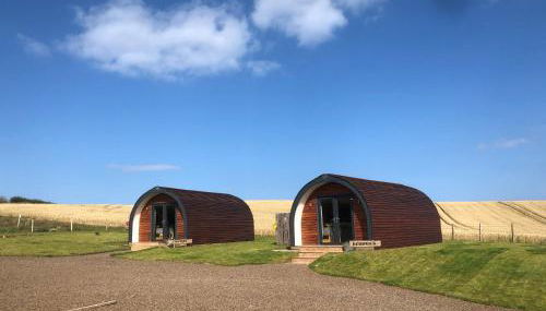 Milldown Glamping - Foto 4