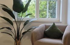 Rheintal Luxusresidenz in Röhndorf - Foto 7