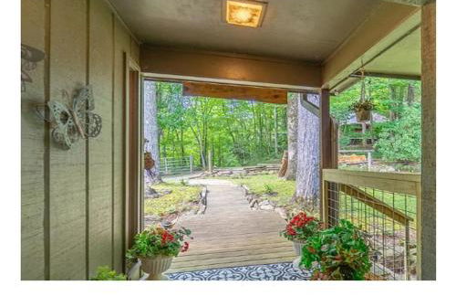 Mountain Retreat Fire Pit Hiking Trails BBQ - Foto 22