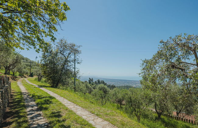 Di Carlino - Foto 31