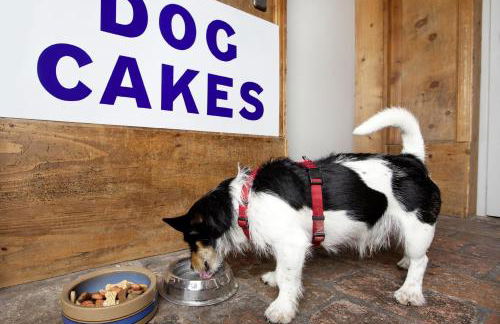 Appartement-Hotel Seespitz - Foto 50