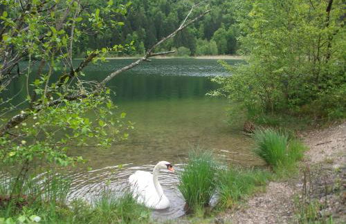 Haus Alpenrose - Foto 55