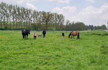 Traumwohnung Jolly Jumper auf idyllischem Reiterhof nähe Burg Eltz - Foto 24