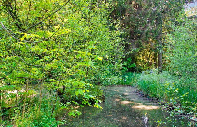 7 Person Holiday Home in Hornbaek-by Traum - Foto 38