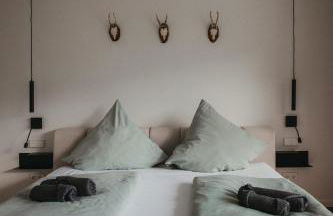 Schwarzwald Loft Panoramablick Menzenschwand - Foto 29