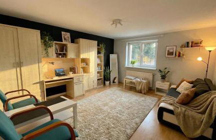 Mieszkanie w domu wielorodzinnym - Foto 1