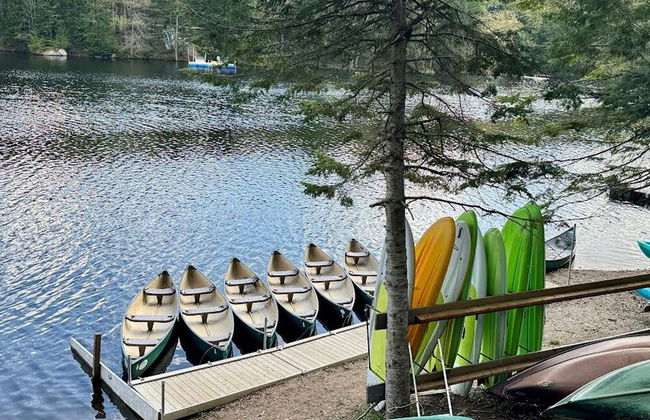 Big Bear Citq 234765 - Foto 46