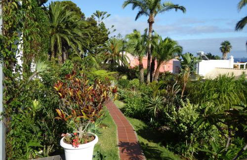 Villa Erika Madeira - Foto 48