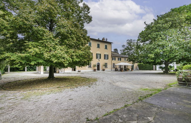 Scaletta + GIrasole - Foto 73