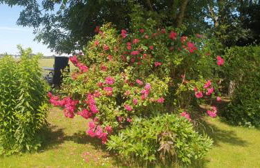 OSTSEEFERIEN IN LICHTENHAGEN-DORF FERIENWOHNUNG - Foto 24