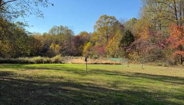 Fireflies and night skies! - Foto 4